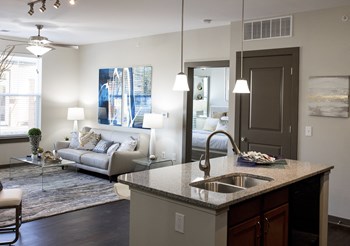 Austin Park Apartments Kitchen - Photo Gallery 11