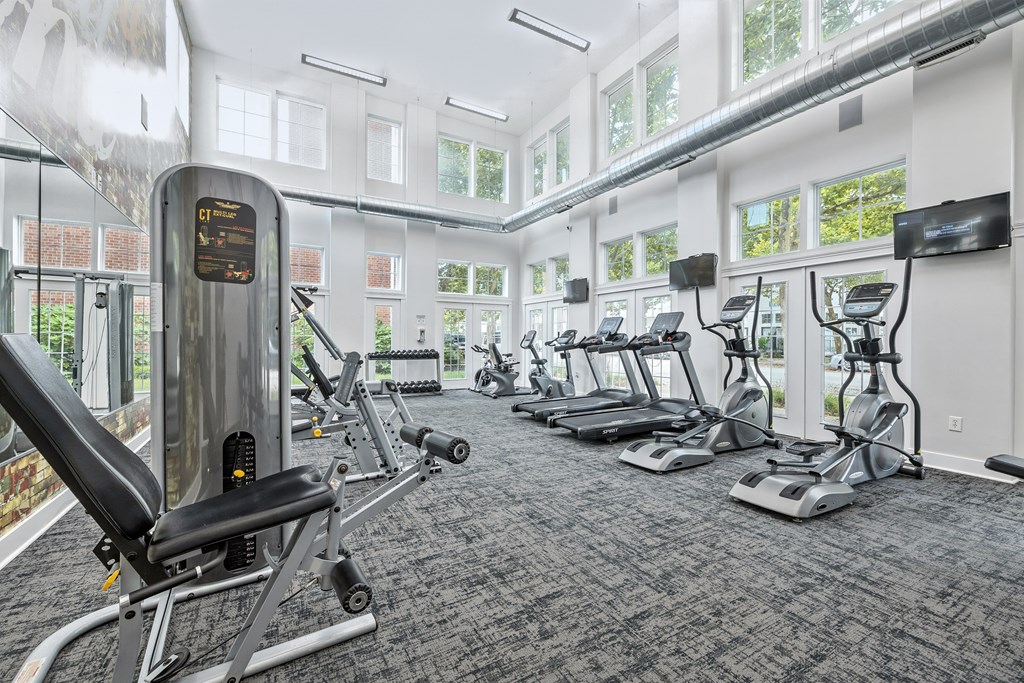 A gym with a variety of equipment including treadmills, weights, and a rowing machine.