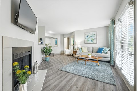 A living room with a fireplace, a couch, and a television.