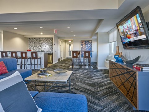 a living room with couches and chairs and a television