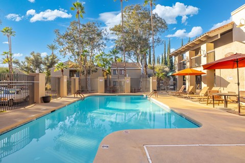 A swimming pool surrounded by a fence and palm trees.