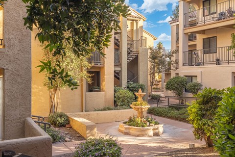 A courtyard with a fountain and plants.