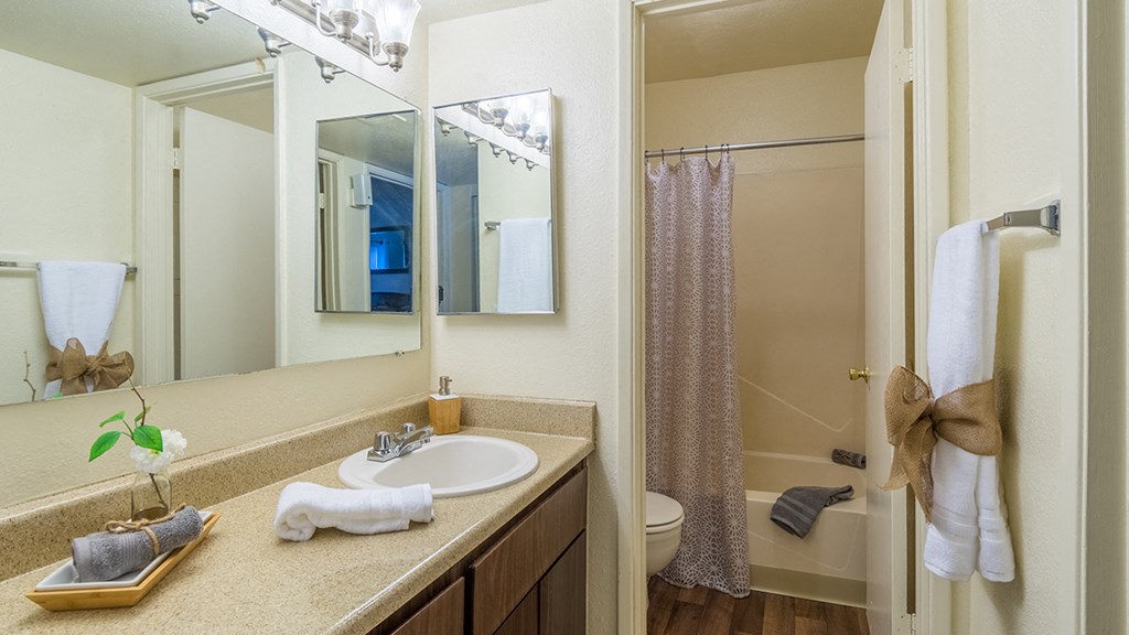 The Springs bathroom with nice vanity sink, and shower tub combo