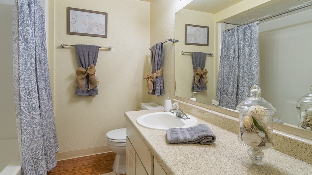 Catalina Canyon apartment bathrooms with vanity sinks.