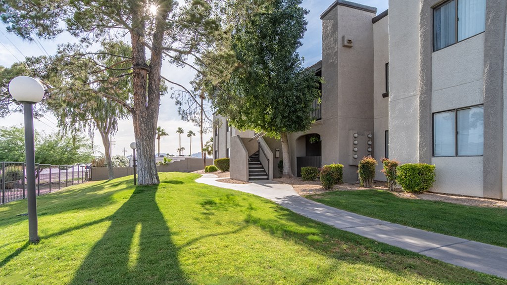 Grass area with tree and buildings with windows