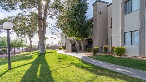 Grass area with tree and buildings with windows