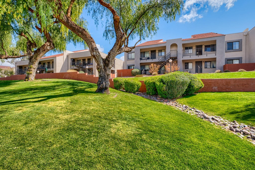 a lawn with a tree and a building in the background