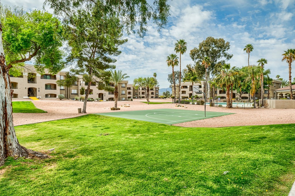 a basketball court in a park with palm trees