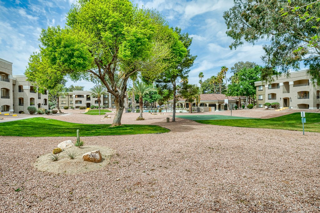 a park with trees and a fountain in a courtyard