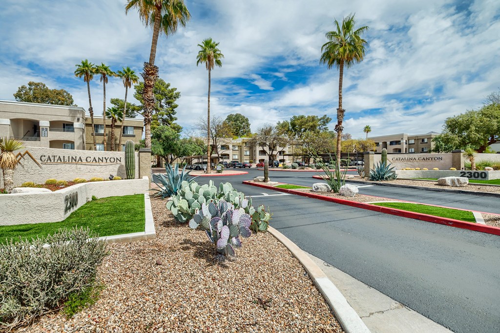 a street with a building and palm trees
