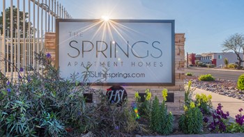 The Springs community sign with nice flowers planted all around - Photo Gallery 40