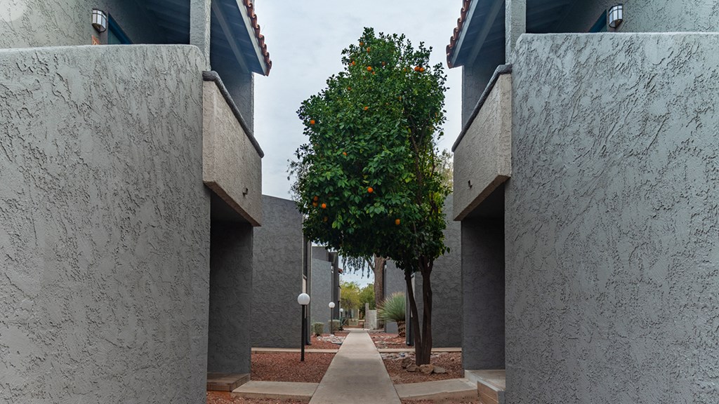 Cottonwood Creek apartment complex facing itself.