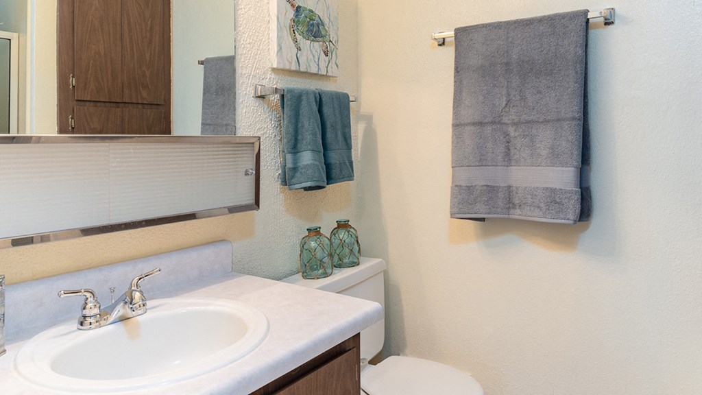 Cottonwood Creek master bathroom.