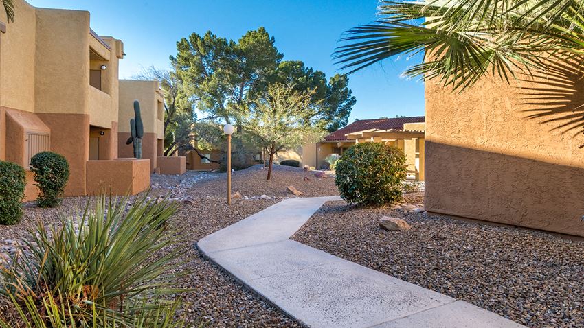 Rio Vista Apartment Homes, 2000 East River Rd, Tucson, AZ - RENTCafé