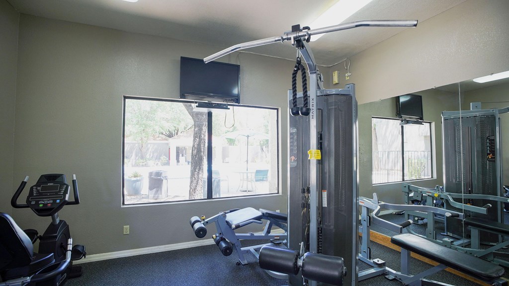 A gym with a treadmill, weights, and exercise equipment.