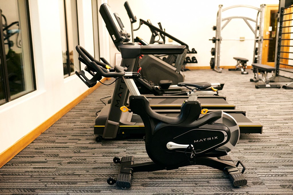 a row of exercise bikes in a gym