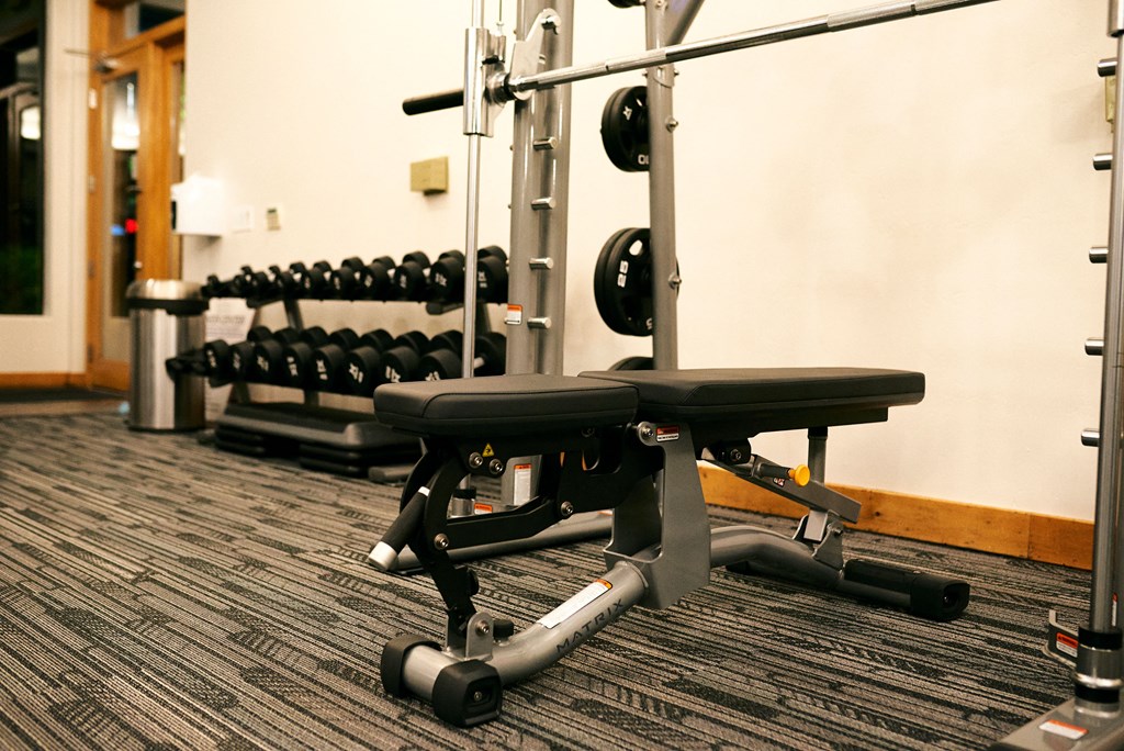 a row of weights machines in a gym