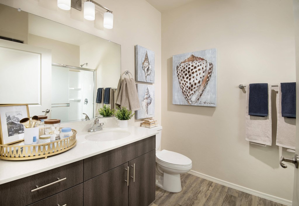 a bathroom with a sink and a toilet and a mirror