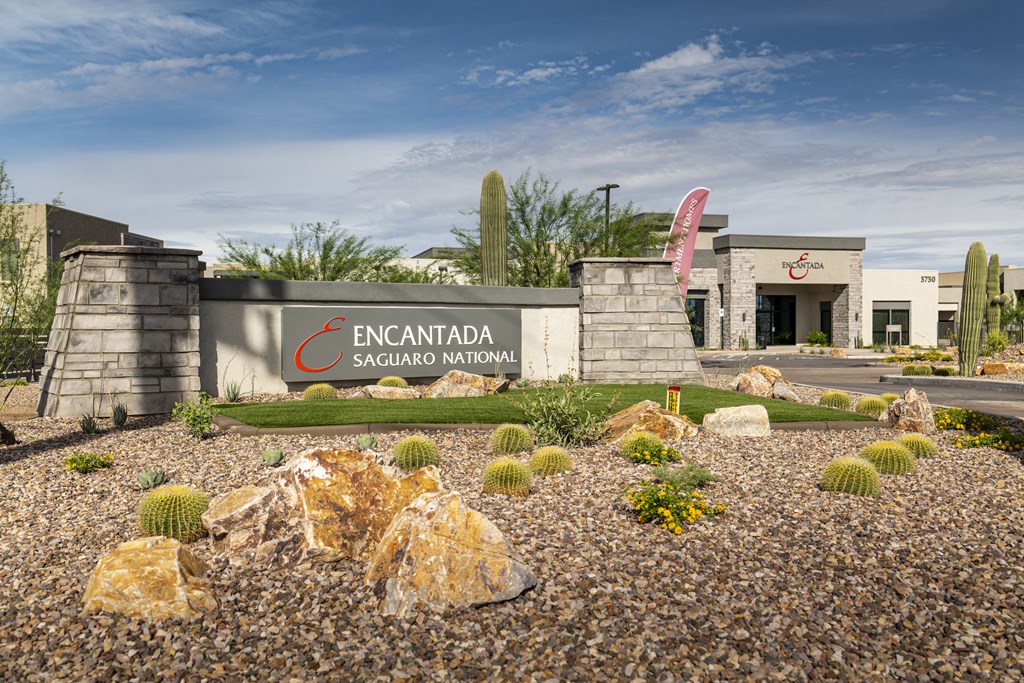 a view of the entrance encantada saguaro national