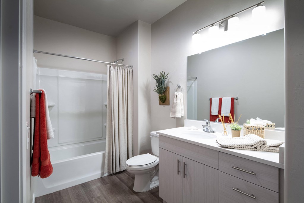 a bathroom with a shower toilet and sink and a mirror