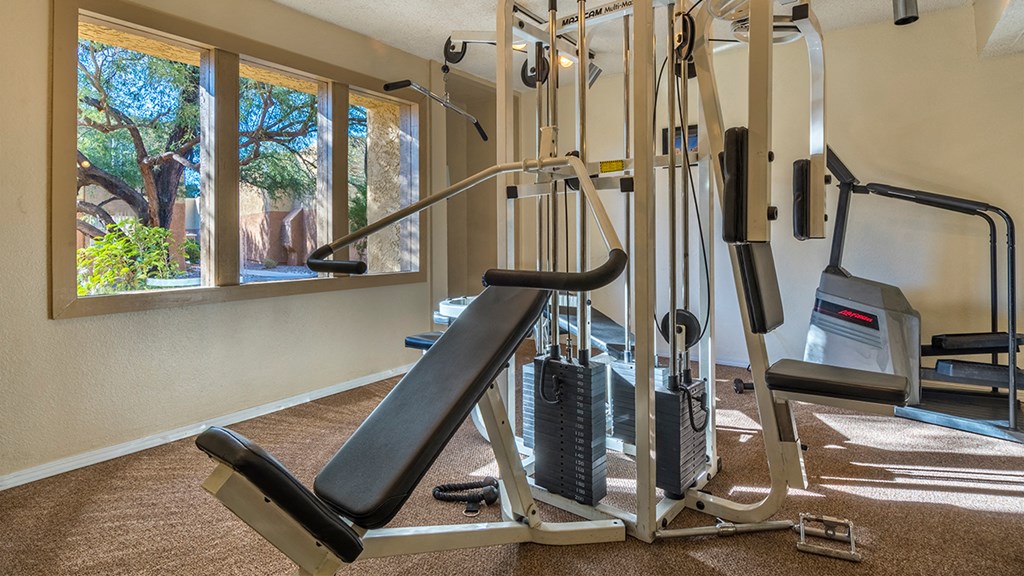 Rio Vista fitness center with fitness equipment and weight stations