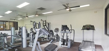 Springhill fitness center with weight stations and fitness equipment - Photo Gallery 3