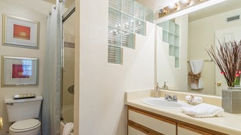 Arboretum bathroom with vanity sink - Photo Gallery 15