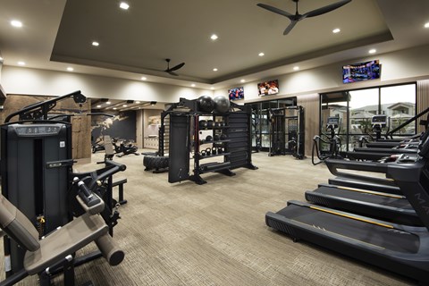 A gym with a variety of equipment including treadmills, weights, and a television.