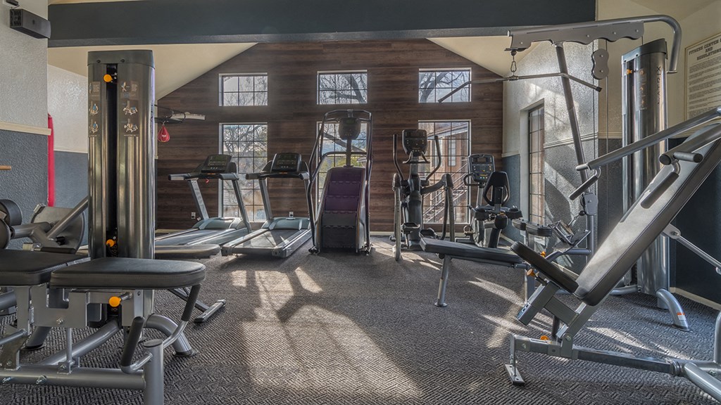 Arboretum view of fitness center with weight stations