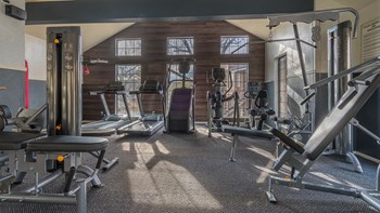 Arboretum view of fitness center with weight stations - Photo Gallery 27
