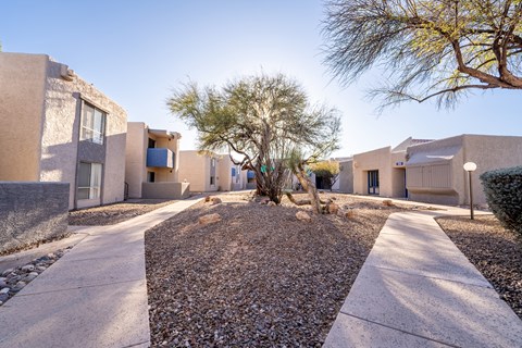 A row of houses with a tree in the middle.