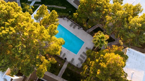A swimming pool surrounded by trees.