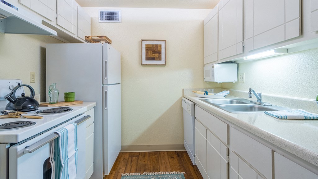 Catalina Canyon white kitchen with a fridge, sink, and two stove tops.