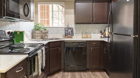 Remodeled Kitchens at La Reserve Villas in Oro Valley AZ