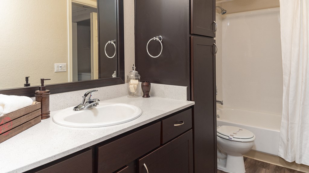 Master Bathroom in 85737