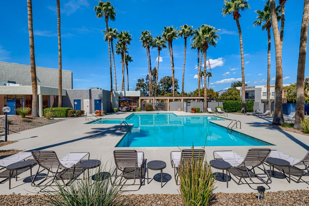 a swimming pool with chairs and tables and palm trees