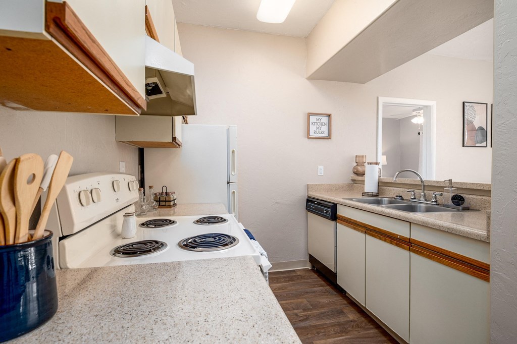a kitchen with a stove and sink and a refrigerator