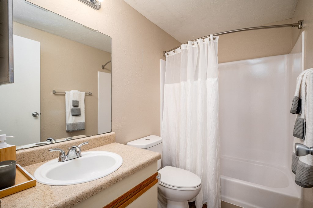 a bathroom with a sink and a toilet and a shower