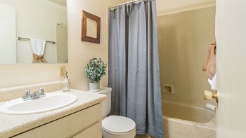 Tanglewood bathroom with vanity sink and shower tub combo - Photo Gallery 11
