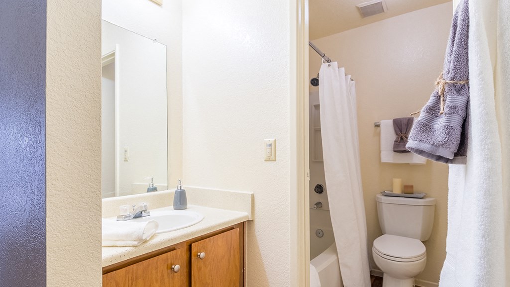 Enclave bathroom with large sink with drawers and nice shower