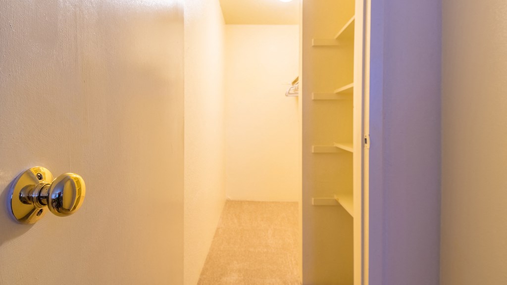 Catalina Canyon large walk-in closet.