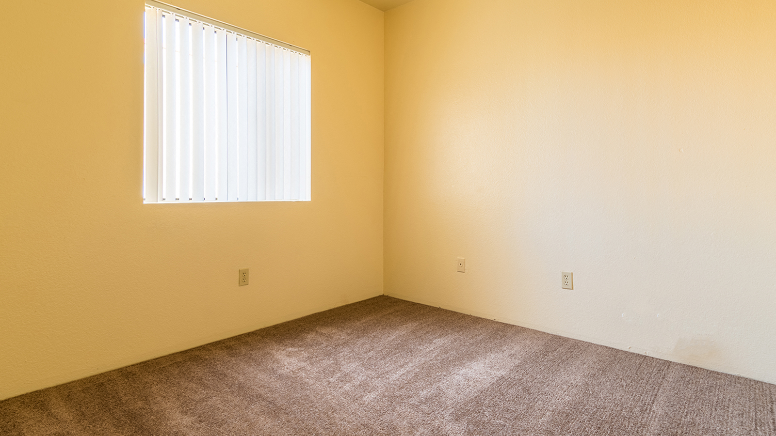 Spacious master bedroom with large window and brown carpet