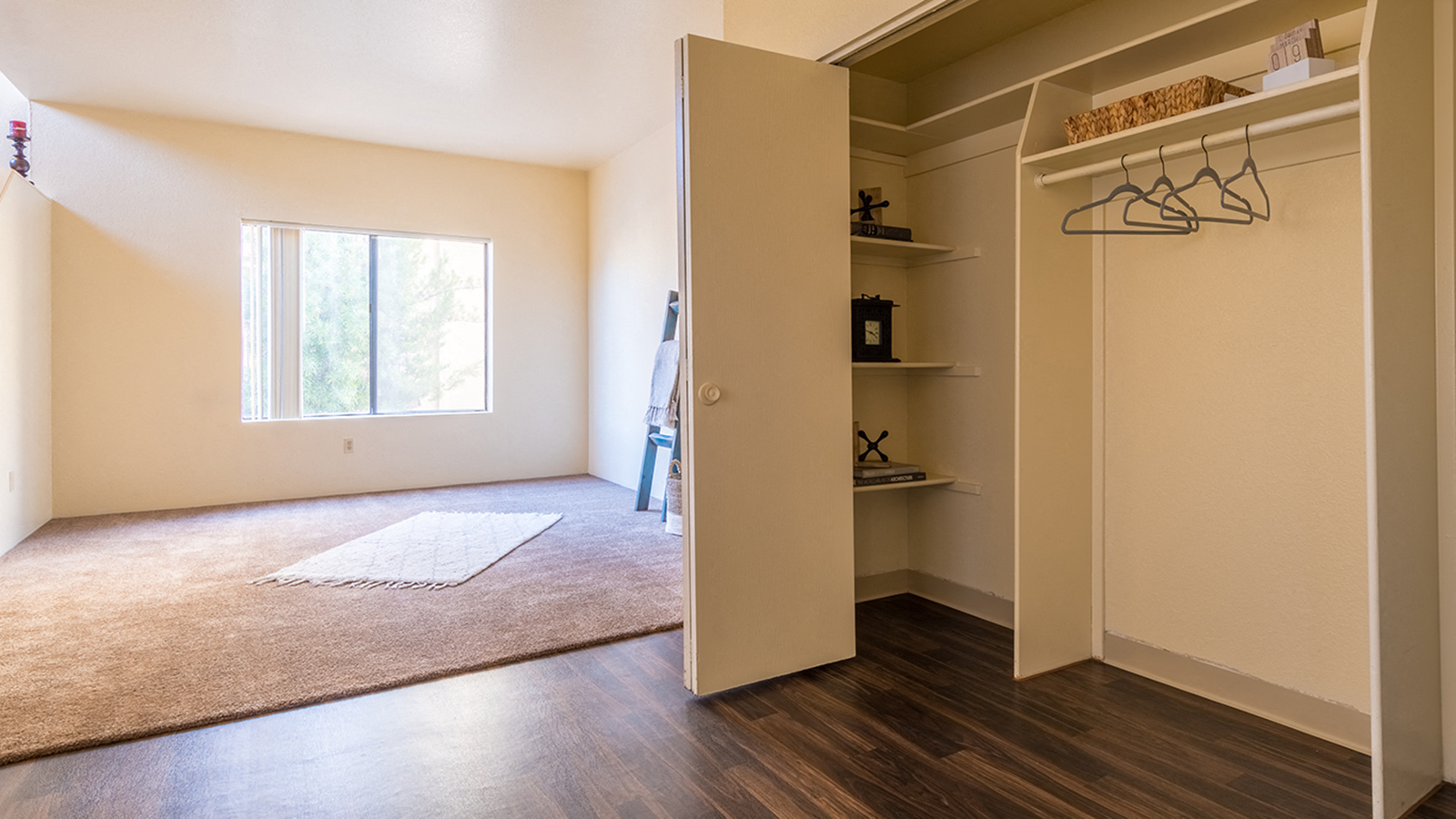 Living room with window and vinyl flooring with large closet