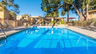 Rio Vista pool view with plenty of lounge area and tall trees surrounding