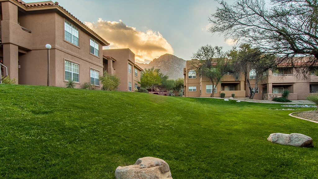 Lush landscape in Oro Valley