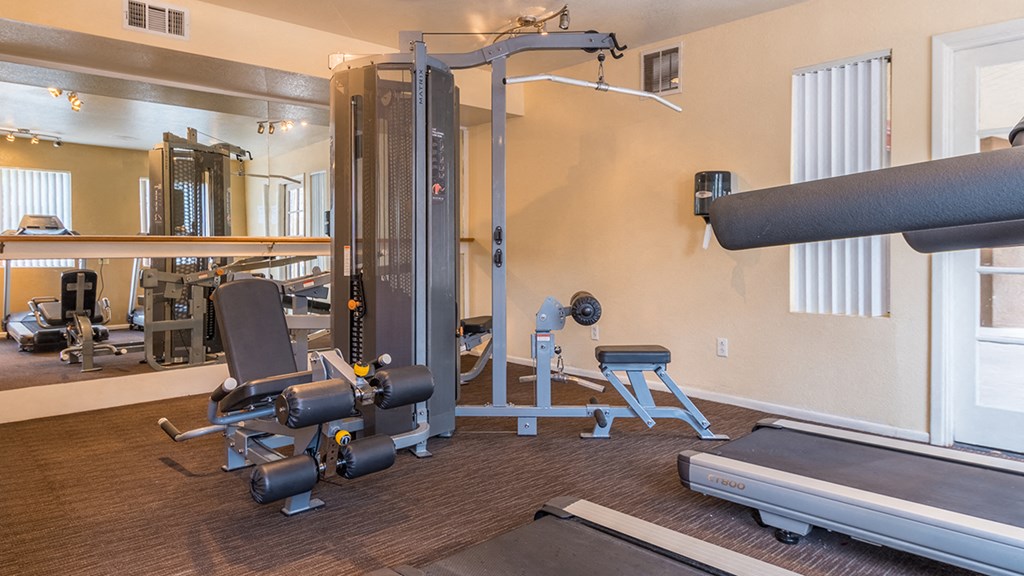 fitness area with Olympic gym equipment machine