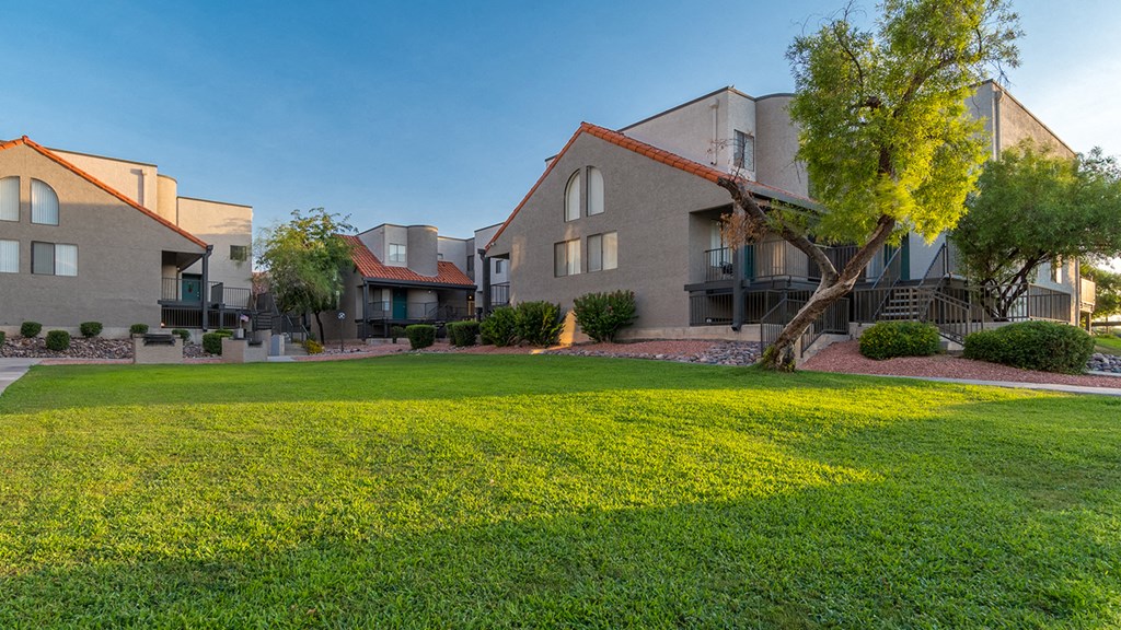 Grass area with tree and buildings with windows