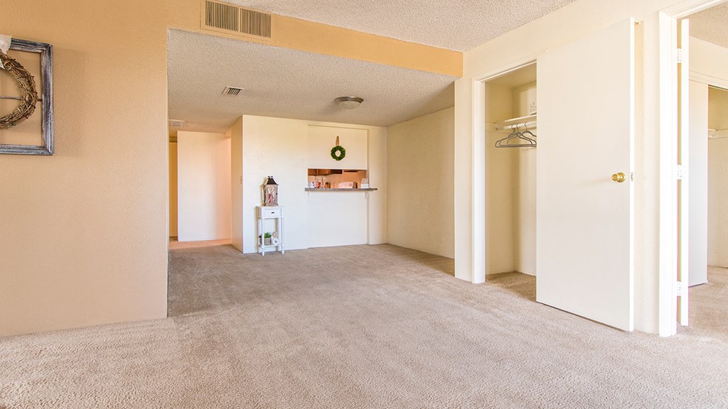 Cottonwood Creek apartment with plenty of storage.