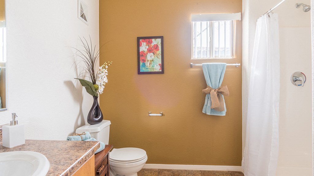 Desert Sands bathroom with shower tub combo.