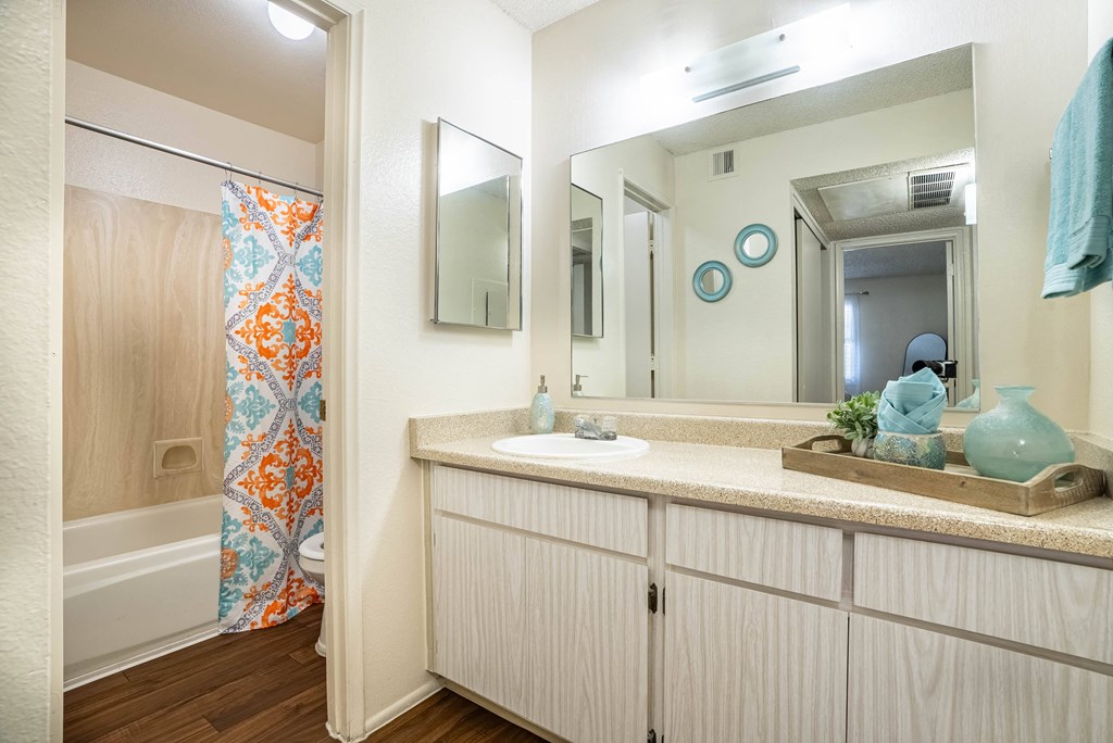 a bathroom with a sink and a shower and a mirror